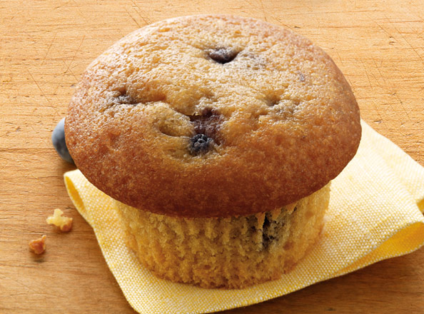 Blueberry Muffin